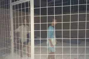 Berbekal uang pribadi, Satpol PP ini rawat orang gila, mulia sekali