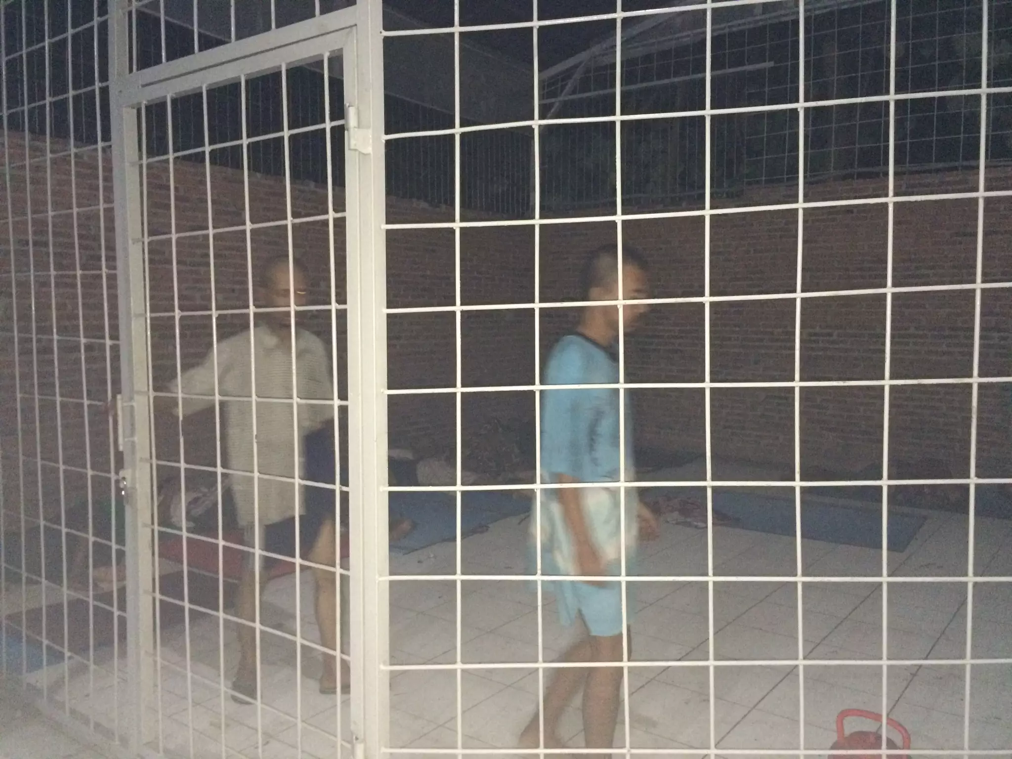 Cerita Satpol PP: Disuruh gembala kambing malah orangnya yang hilang