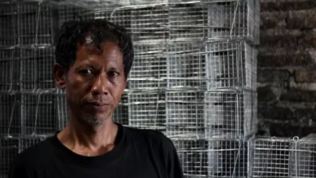 Inovasi Sugiyo, ciptakan perangkap tikus dari limbah rantai motor