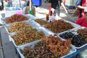 Ini alasan kamu kudu makan serangga
