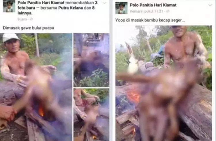Netizen dibuat geram foto pembantaian orangutan