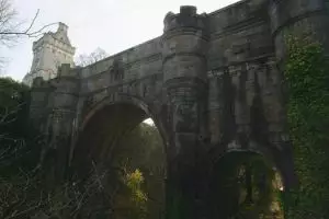 600 Anjing sudah terjun dari jembatan ini, misteri belum terbongkar!