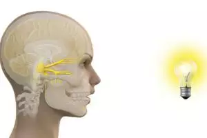 Melihat cahaya terang bisa sebabkan bersin, kok bisa ya?