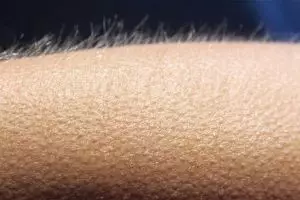 VIDEO: Jawaban teka-teki bulu kuduk berdiri saat merinding & takut