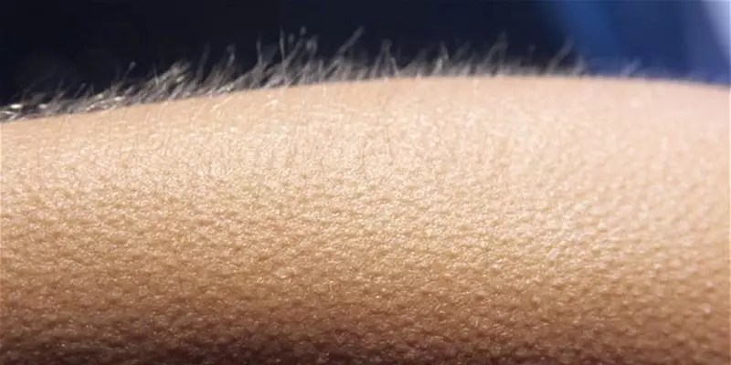 VIDEO: Jawaban teka-teki bulu kuduk berdiri saat merinding &amp; takut