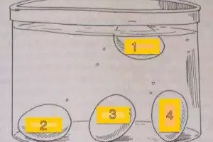 Cara sederhana ketahui usia telur