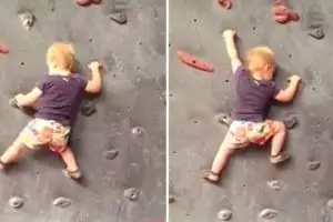 VIDEO: Balita panjat dinding layaknya profesional, top!