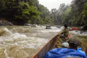 Perjuangan Firdaus, 2 hari tempuh terjalnya sungai demi tugas mengajar