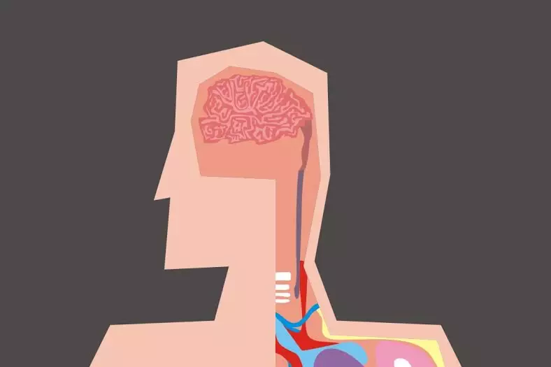 Turunkan berat badan ternyata mampu pertajam ingatan, silakan dicoba!