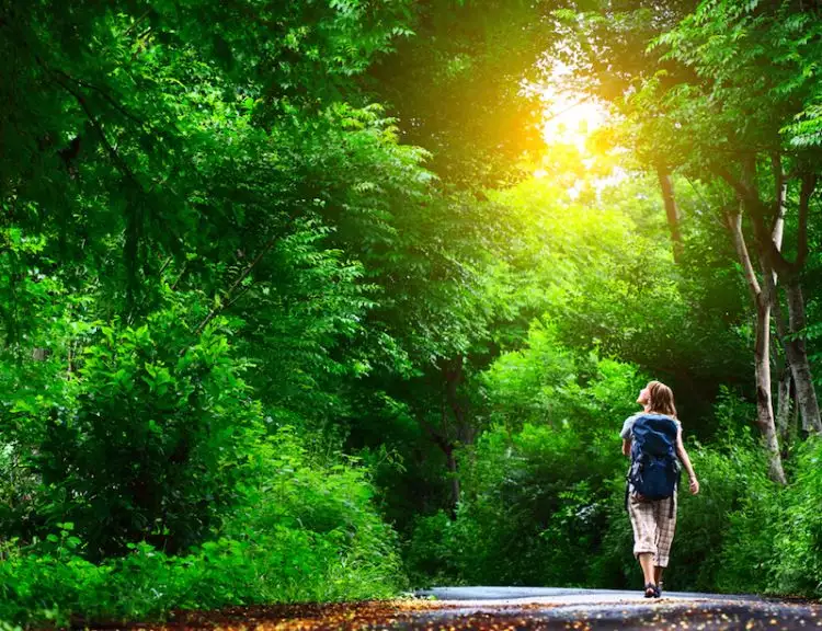 Berjalan kaki di alam terbuka bisa jernihkan pikiran dan usir stres