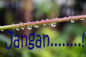 Jangan katakan 'tidak' untuk 13 hal ini