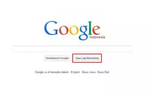 Cara jitu pakai Google Search, klik saja tombol 'Saya Lagi Beruntung'