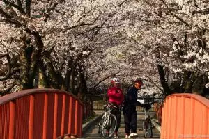 5 Kota ini dinobatkan jadi kota paling aman di dunia, seperti apa?