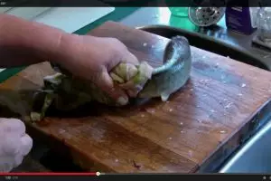 VIDEO: Heboh ikan masih bisa bergerak padahal kepalanya sudah dipotong