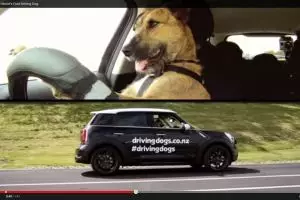 VIDEO: Kamu tak akan percaya kalau lihat siapa yang menyetir mobil ini