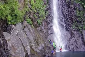 Longsor di air terjun Sedudo, pohon jatuh dari ketinggian 90 meter