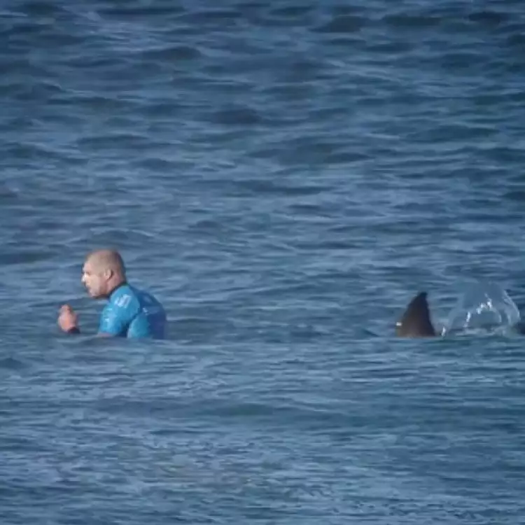 VIDEO: Penyelamatan peselancar Australia dari serangan hiu