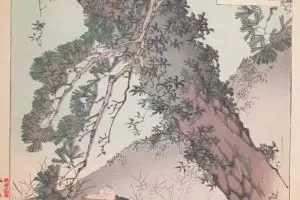 Legenda Obasuteyama, kisah anak membuang orangtuanya yang telah renta