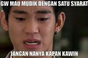 14 Meme ini membuat pertanyaan 'kapan kawin?' jadi nggak seram lagi