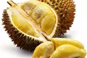 9 Alasan kenapa kamu harus suka makan buah durian