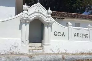 Misteri kucing raksasa di Gili Ketapang, hanya muncul malam Jumat