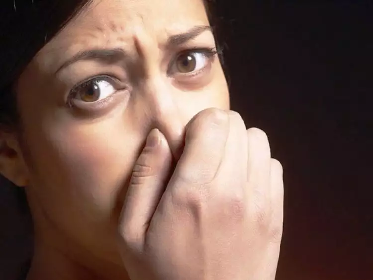 VIDEO: Penjelasan ilmiah mengapa kentut tanpa suara lebih bau