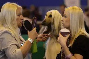 13 Gambar gokil benda-benda yang menyerupai gaya seseorang