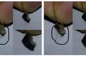 Jajan bakso keliling, ibu ini mual karena temukan daging berbulu!