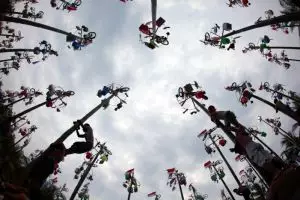 Ini sejarah tradisi panjat pinang di Indonesia