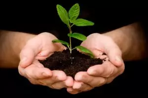 8 Alasan genting kamu wajib menanam pohon mulai detik ini juga