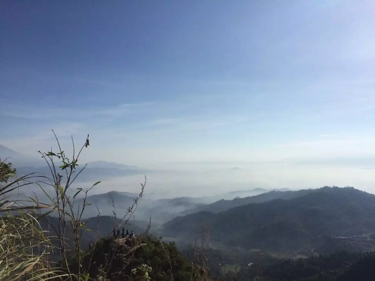 Kebun teh Nglinggo, alternatif wisata Jogja yang adem