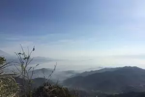 Kebun teh Nglinggo, alternatif wisata Jogja yang adem