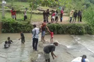 Nenek pemilik wisata Pulosari, hidup dari angon sapi milik tetangga