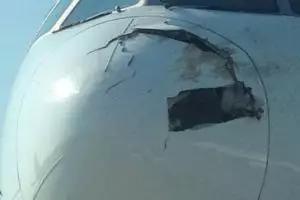 Menabrak burung, moncong pesawat Singapore Airlines retak & berlubang