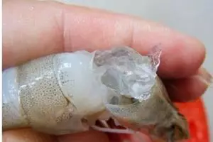 Geger, ada udang disuntik gelatin biar terlihat lebih gemuk