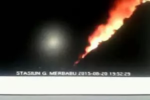 Gunung Merbabu kebakaran sejak pagi, api sulit dipadamkan