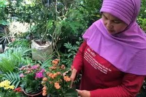 Biar tanaman hias kamu tetap cantik, perhatikan 5 hal ini