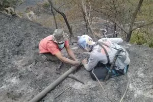 Inilah suara hati relawan Gunung Merbabu 