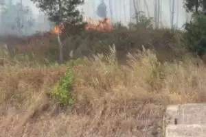 Setelah Merbabu, giliran hutan di Gunung Merapi terbakar