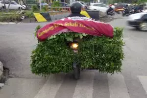 Ulah pengendara motor yang paling menjengkelkan pengguna jalan lain