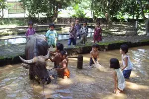 Hal-hal ini hanya bisa dinikmati anak-anak di sekolah alam