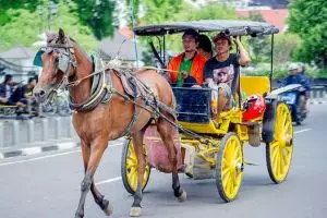 7 Angkutan tradisional Indonesia yang perlu kamu tahu