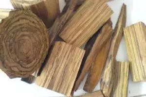 5 Tanaman asli Indonesia yang jadi buruan bangsa asing sejak dulu