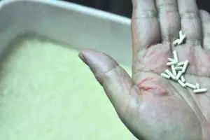 Lagi, muncul beras palsu diduga dari kertas resahkan warga