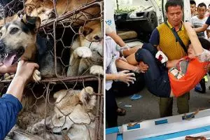 Wanita tusuk paha sendiri di tengah jalan bikin geger puluhan orang 