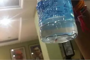Botol air berisi ular tak sengaja disajikan dalam rapat kementerian