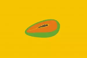 Jangan remehkan pepaya, buah ini ternyata bisa jadi makanan diet ampuh