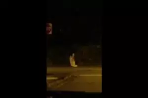 Sosok putih yang seperti duduk di tepi jalan ini, hantukah?