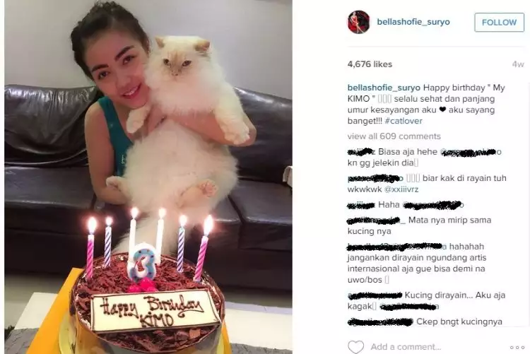 Bella Sofie belikan kue untuk kucingnya yang ulang tahun