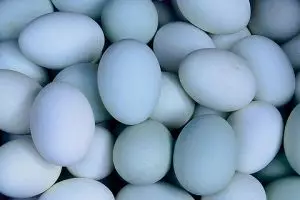 Tak cuma asin bikin ketagihan, telur bebek bermanfaat buat kecantikan